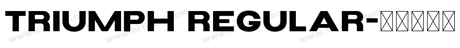 Triumph Regular字体转换